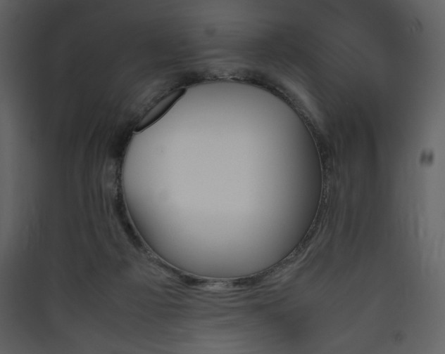 X0000090410121200707131156