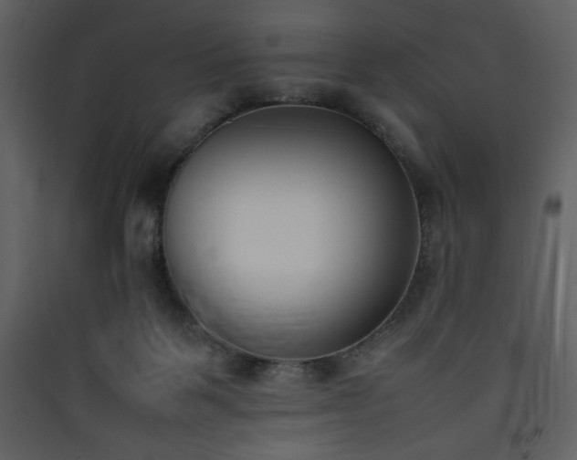 X0000090410123200707131156
