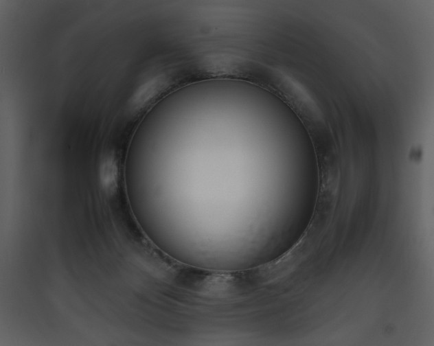 X0000090410124200707131156