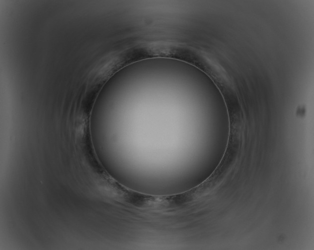 X0000090410125200707131156