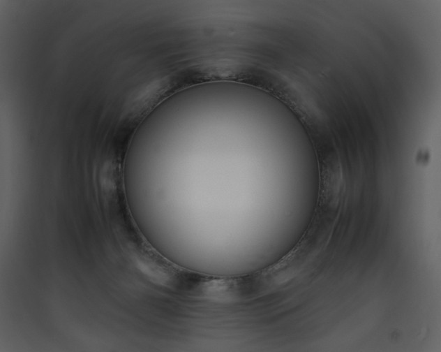 X0000090410126200707131156