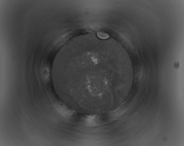 X0000090410130200707131156