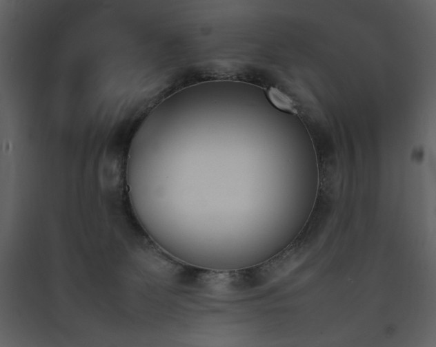 X0000090410131200707131156