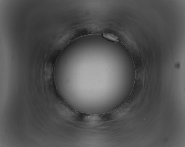 X0000090410133200707131156
