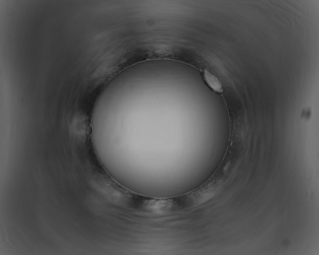 X0000090410135200707131155
