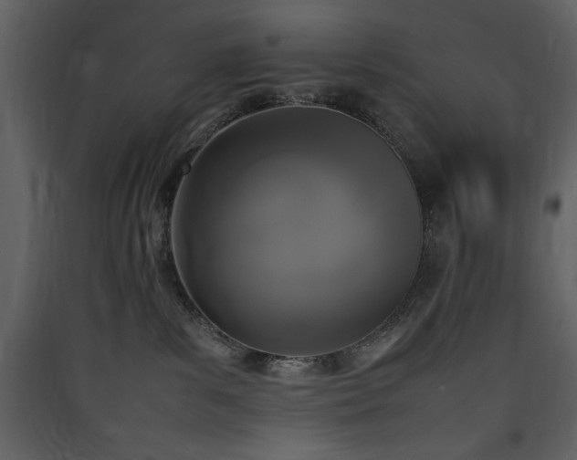 X0000090410139200707131155