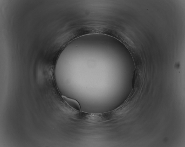 X0000090410141200707131155