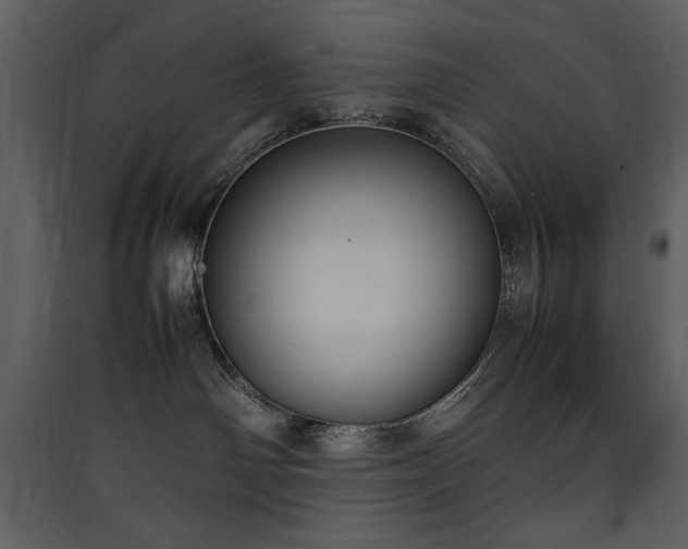 X0000090410142200707131155