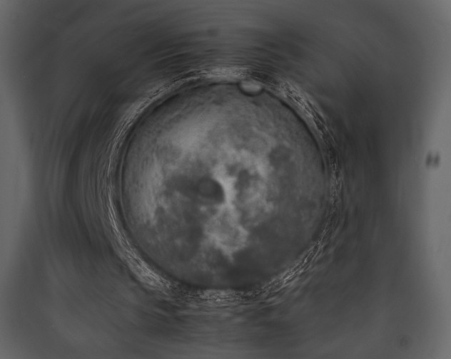 X0000090410145200707131155