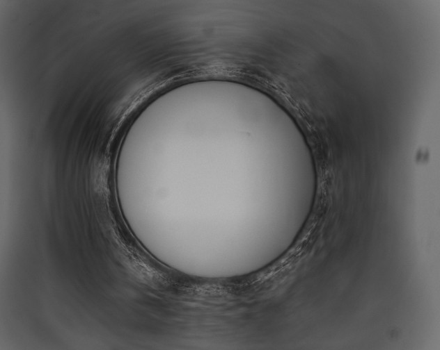 X0000090410146200707131155