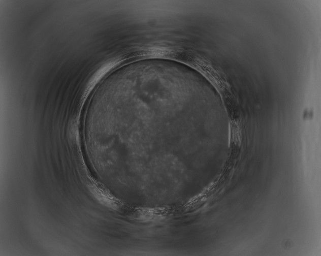 X0000090410147200707131155