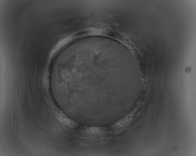 X0000090410149200707131155