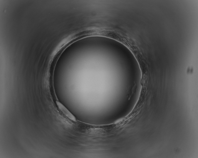 X0000090410150200707131155