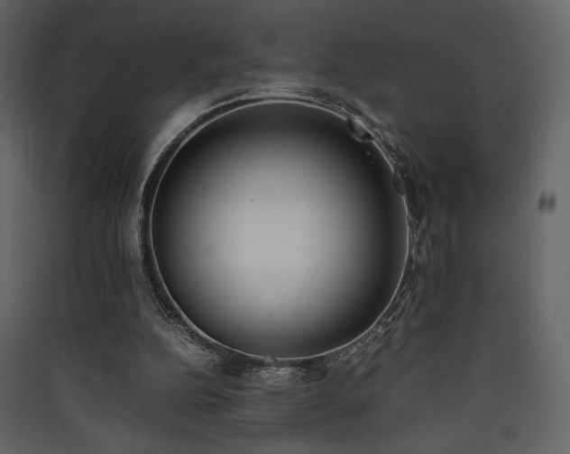 X0000090410152200707131155