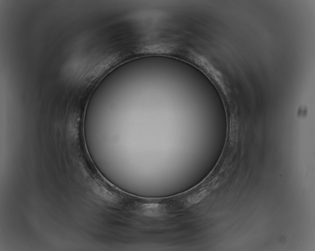 X0000090410153200707131155