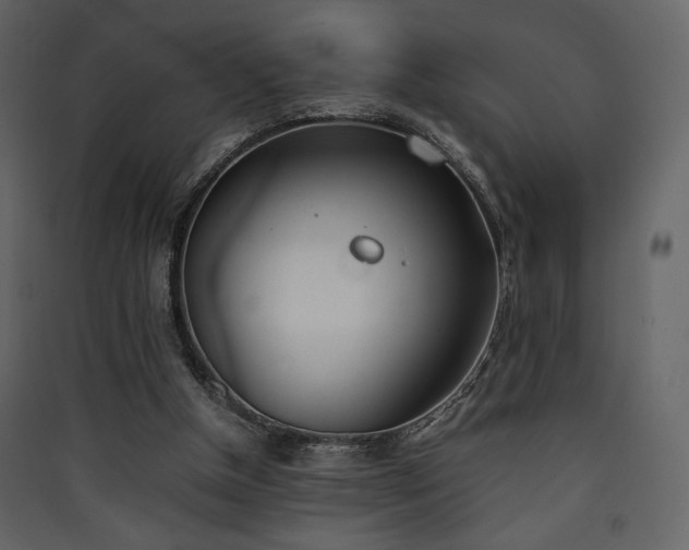 X0000090410154200707131155