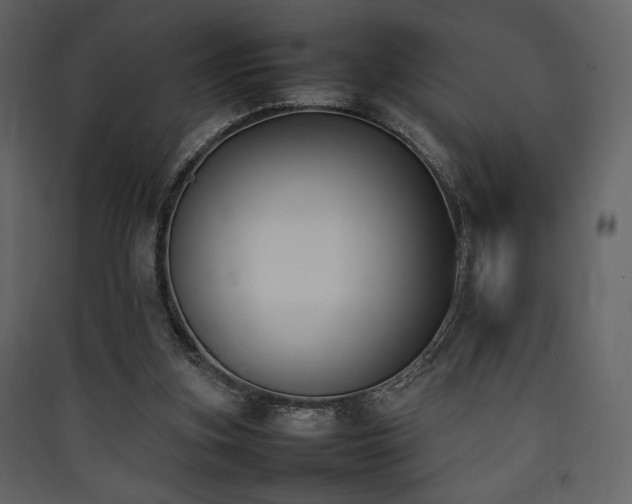 X0000090410155200707131155