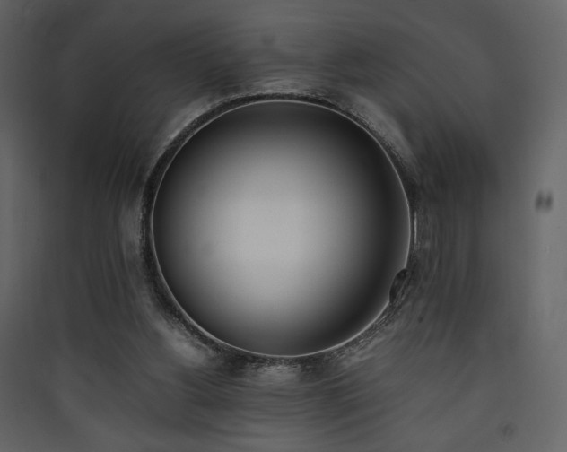 X0000090410156200707131155