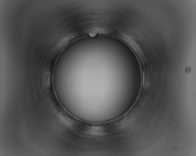 X0000090410157200707131155