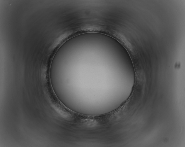 X0000090410159200707131155
