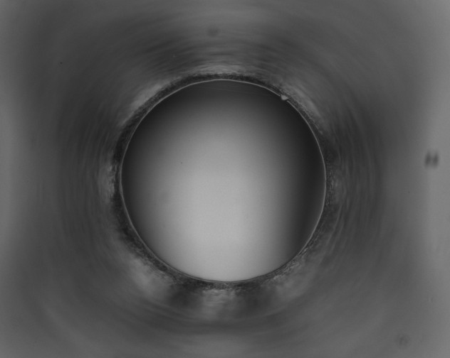 X0000090410160200707131155