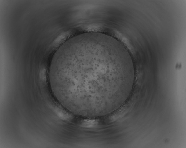 X0000090410161200707131155
