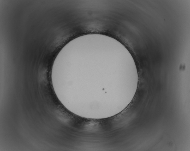 X0000090410162200707131155