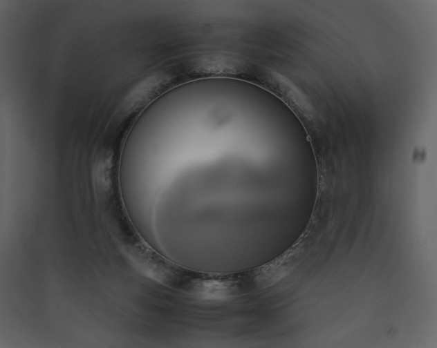 X0000090410163200707131155