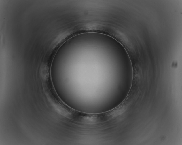 X0000090410164200707131155