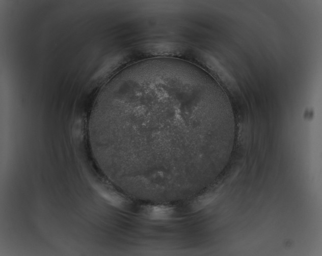 X0000090410165200707131155