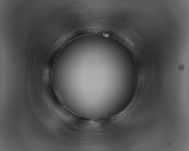 X0000090410166200707131155