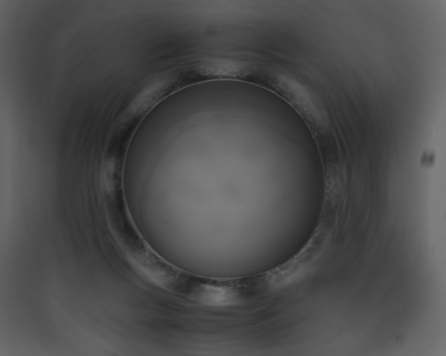 X0000090410167200707131155