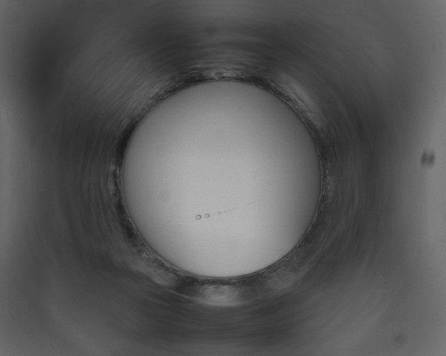 X0000090410169200707131155