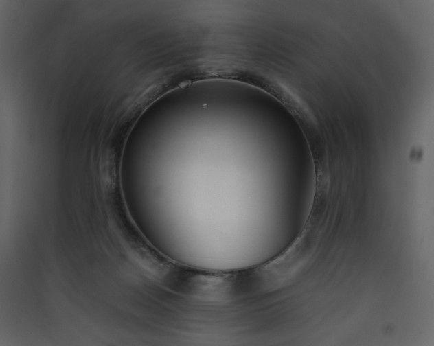 X0000090410170200707131155