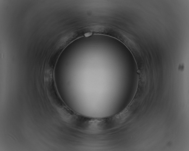 X0000090410172200707131155