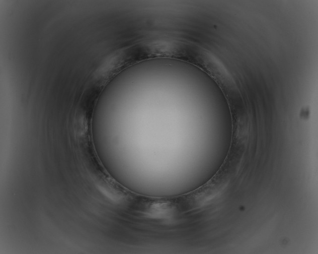 X0000090410173200707131155