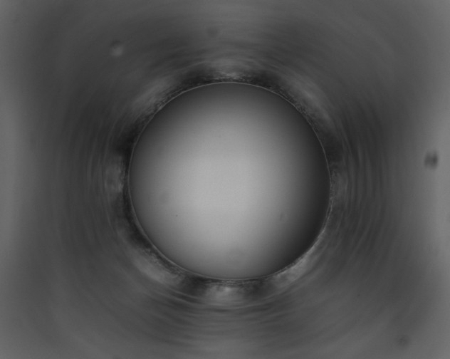 X0000090410174200707131155