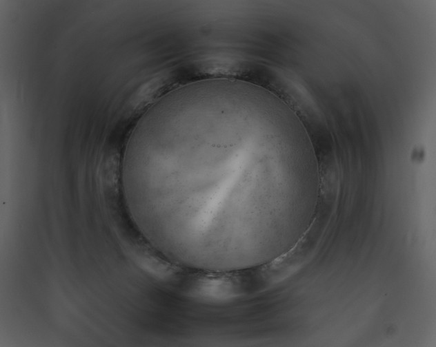 X0000090410175200707131155