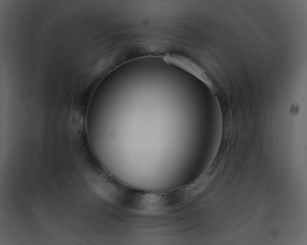 X0000090410176200707131155