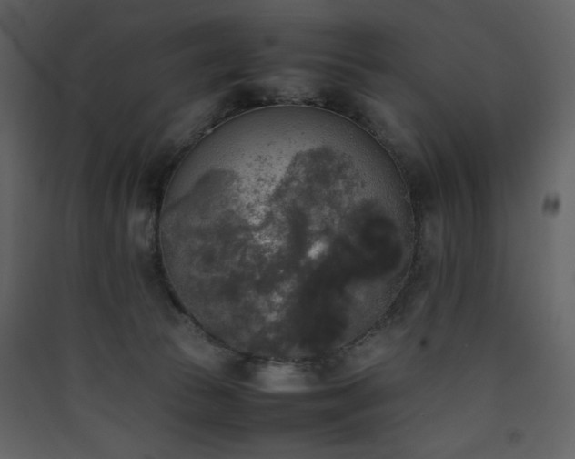 X0000090410177200707131155