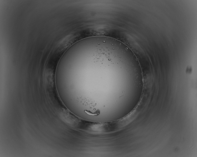 X0000090410178200707131155