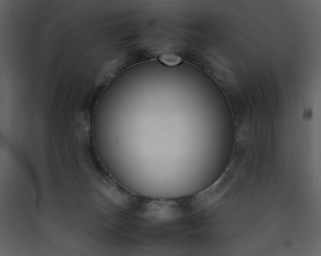 X0000090410179200707131155