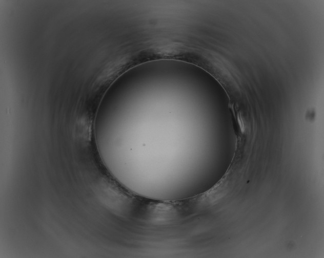 X0000090410180200707131155