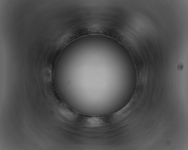 X0000090410183200707131155