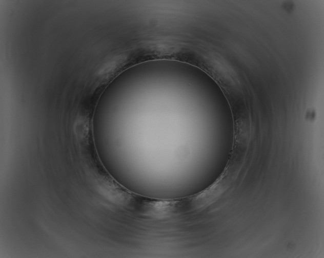 X0000090410184200707131155