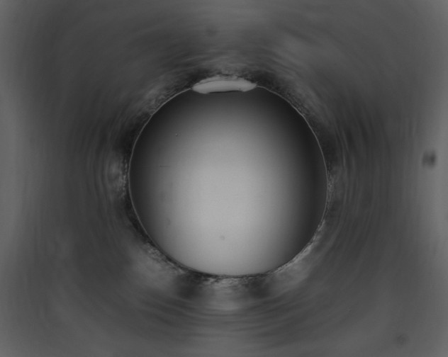 X0000090410186200707131155