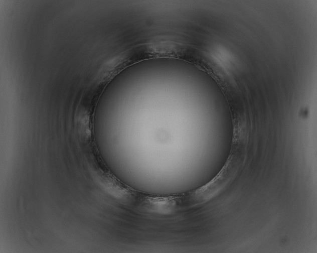 X0000090410187200707131155