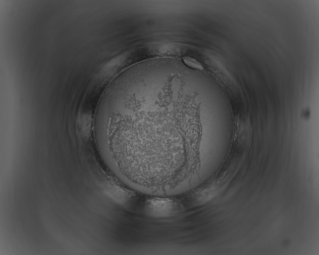 X0000090410189200707131155