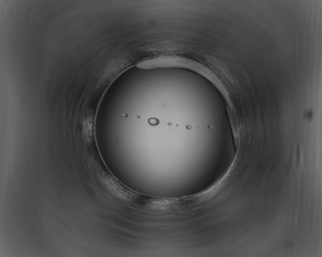 X0000090410190200707131155
