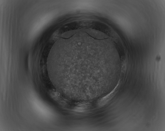 X0000090410191200707131155